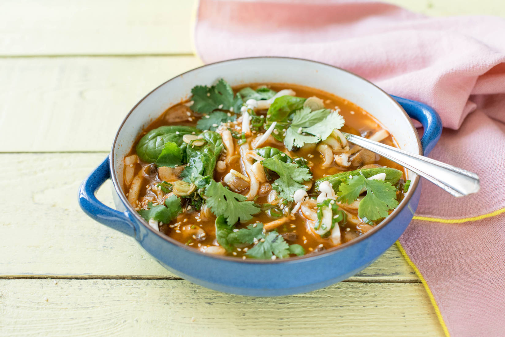 Asian Mushroom Broth with Udon Noodles