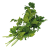 Parsley