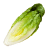 gem lettuce