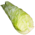 Spitskool