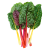 Kale and Rainbow Chard Mix