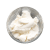 Ricotta