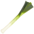 Leek