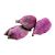 violette Kardamomkapsel