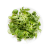 cos lettuce mix