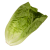 cos lettuce leaves