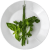 Basilic, persil et menthe frais