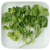 Munt, koriander en Thais basilicum