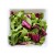 Mélange de salades avec pousses de tournesol
