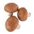 Brune champignon