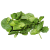 salad leaves