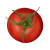 Medium Tomato