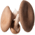 Funghi Cardoncelli