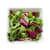 Slamix met radicchio, rucola en bladsla