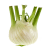 Fenouil