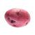 Pomme de terre Roseval
