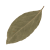 Feuille de laurier