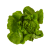Salade