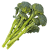 Broccolini