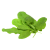 Oseille