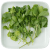 Persil plat et coriandre