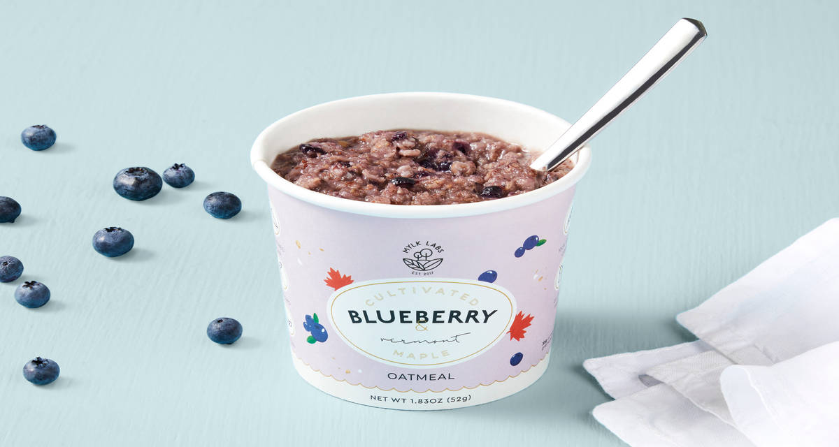 Mylk Labs Blueberry Oatmeal Instant berry bliss | 2 servings (1 total cup)