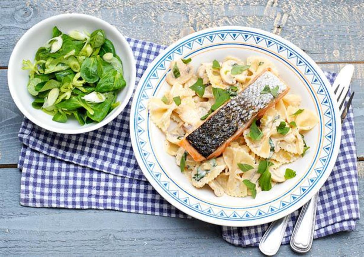 Op de huid gebakken Schotse zalmfilet met farfalle 