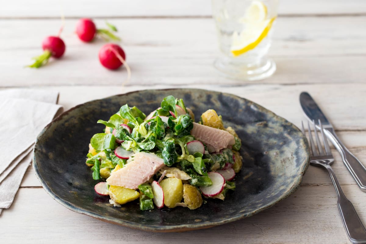 Hollandse aardappelsalade met gerookte forel en yoghurtdressing