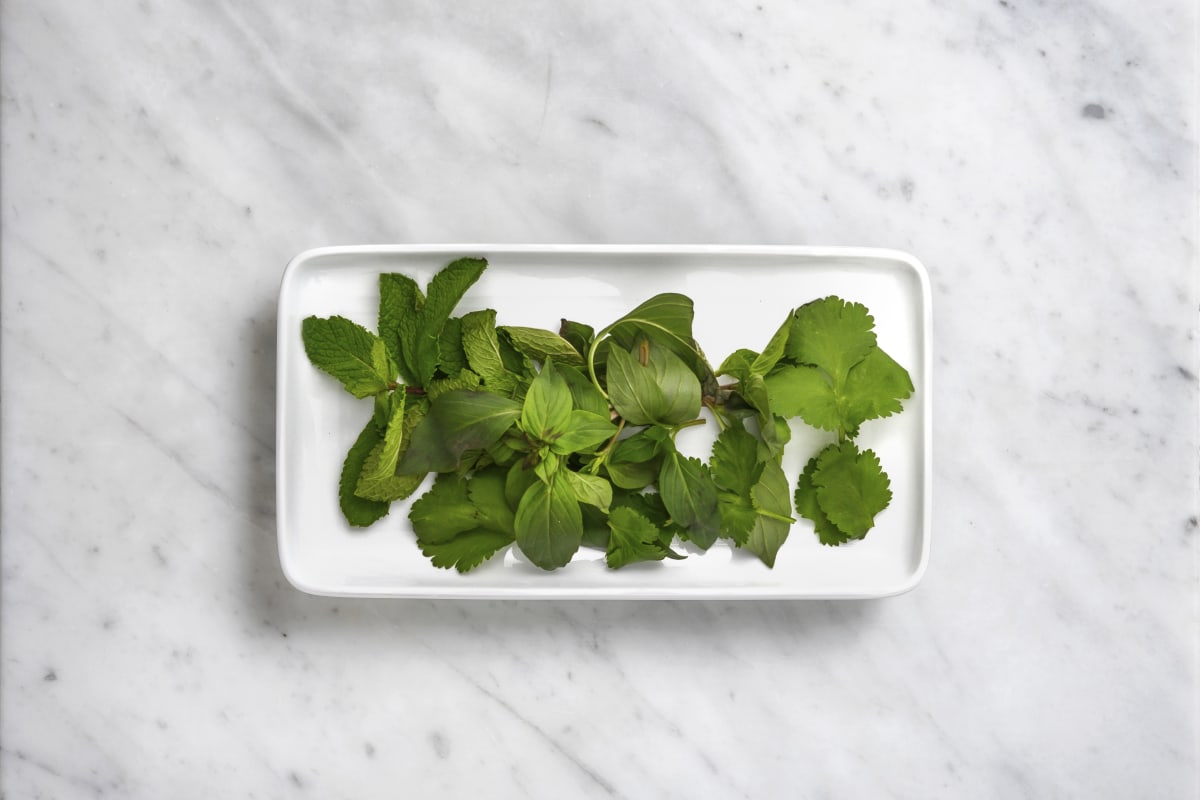 Modularity: Munt, Koriander en Thaise basilicum (10g)