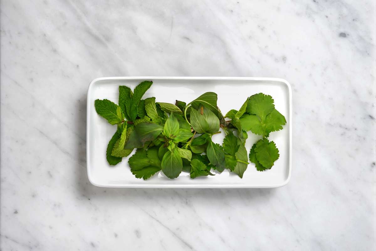 Trio herbes fraîches en extra