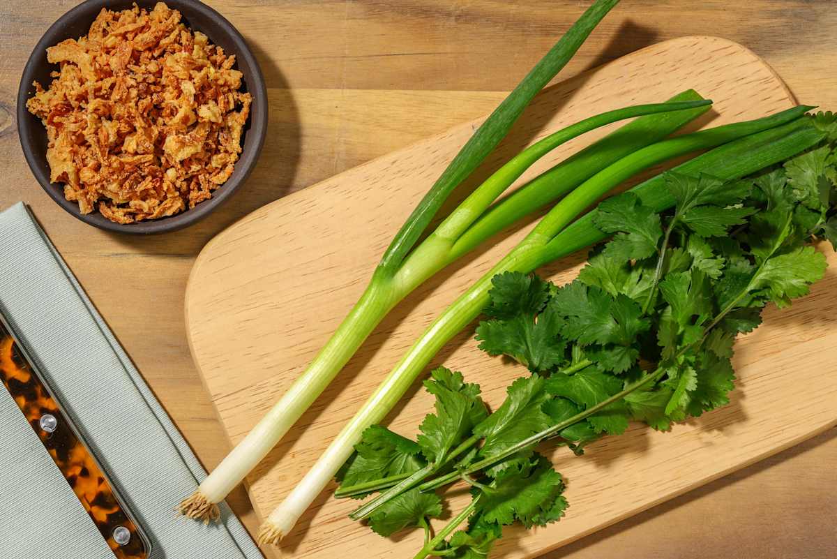 Spring Onion, Crispy Shallots & Coriander