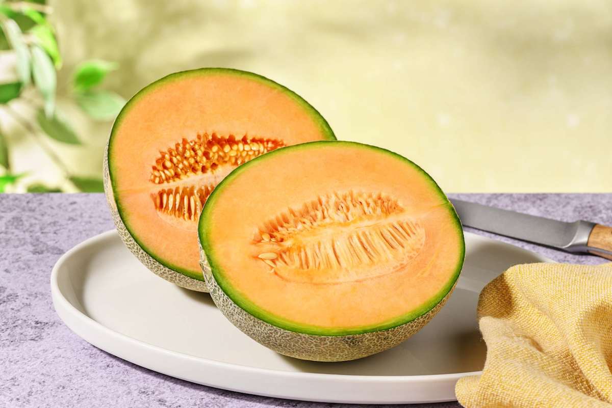 Melon cantaloupe