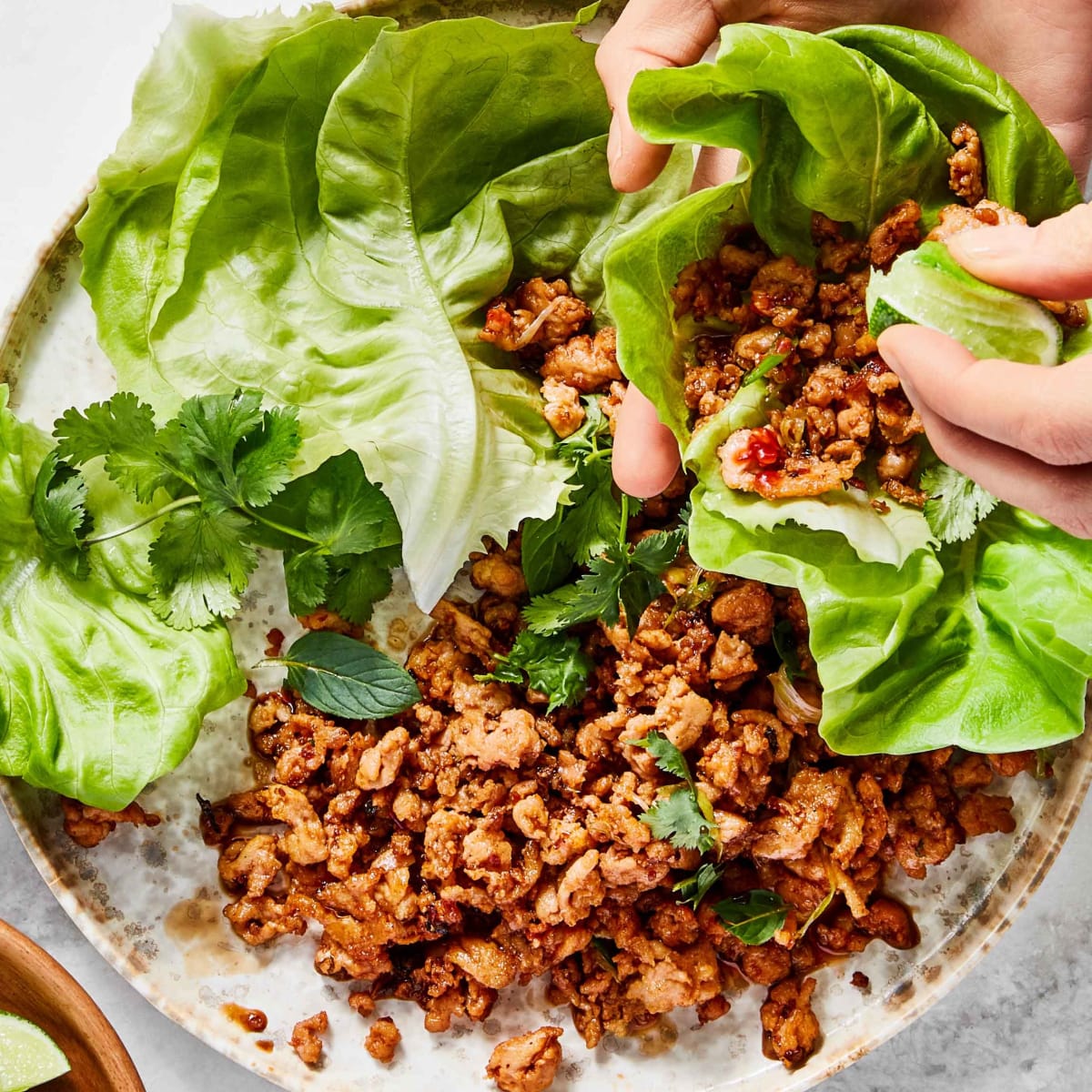 Smart Garlic-Hoisin Chicken Lettuce Wraps