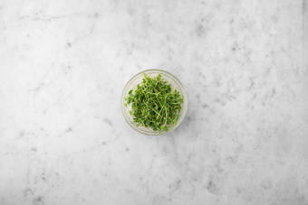 Dress the Rocket Salad