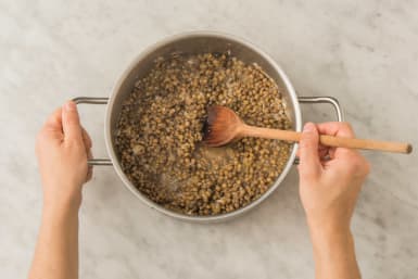 Cook the Lentils