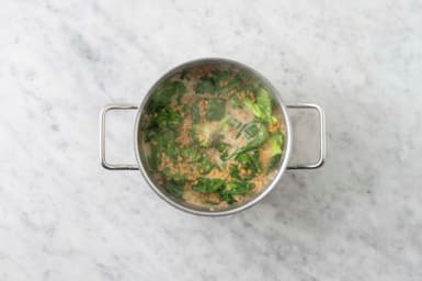 Cook the Spinach