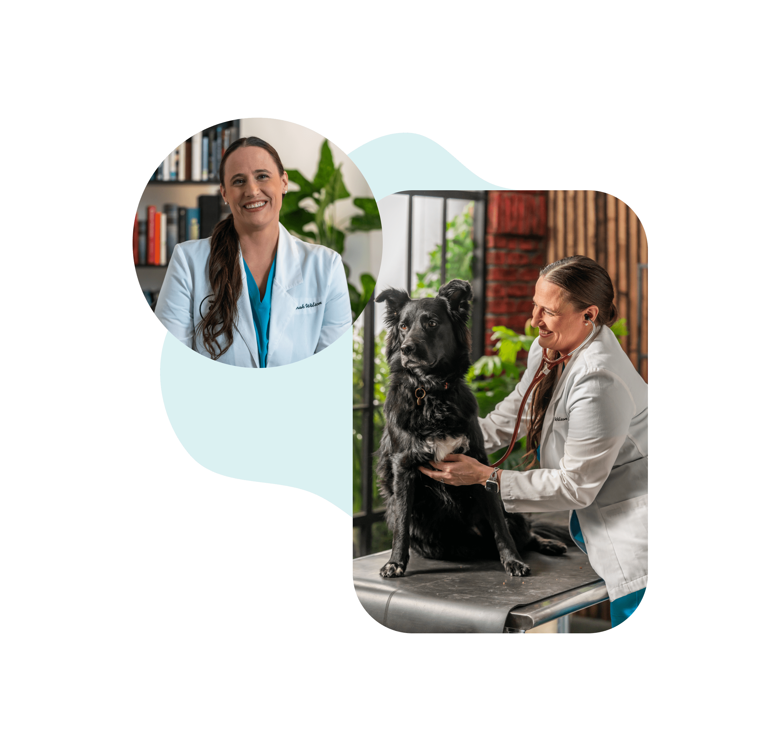 Meet Sarah, our Board Certified Vet Nutritionist®