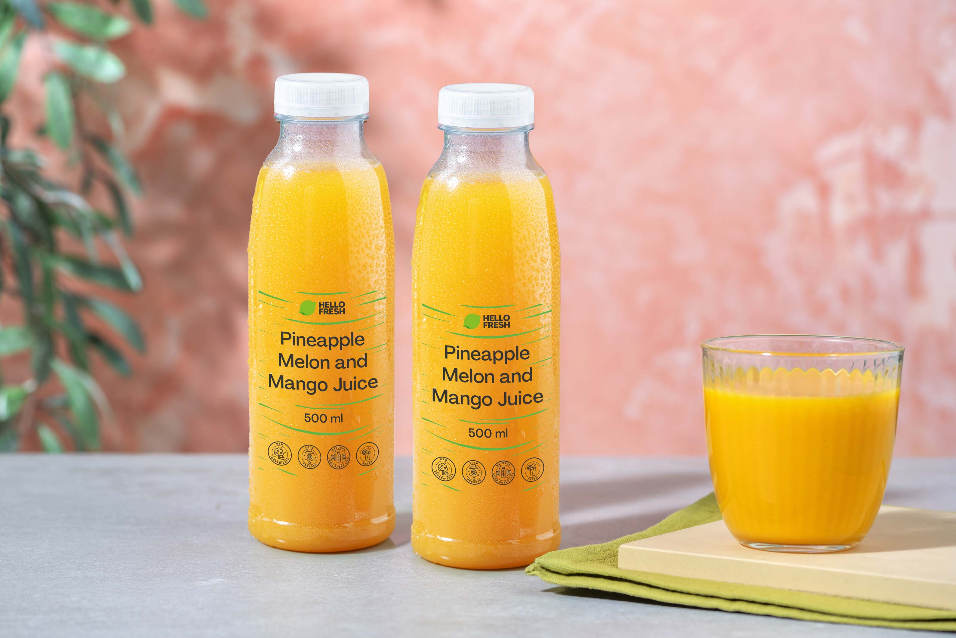 Pineapple Melon Mango Passionfruit Juice (26009) FR/NL (500ml) sold in