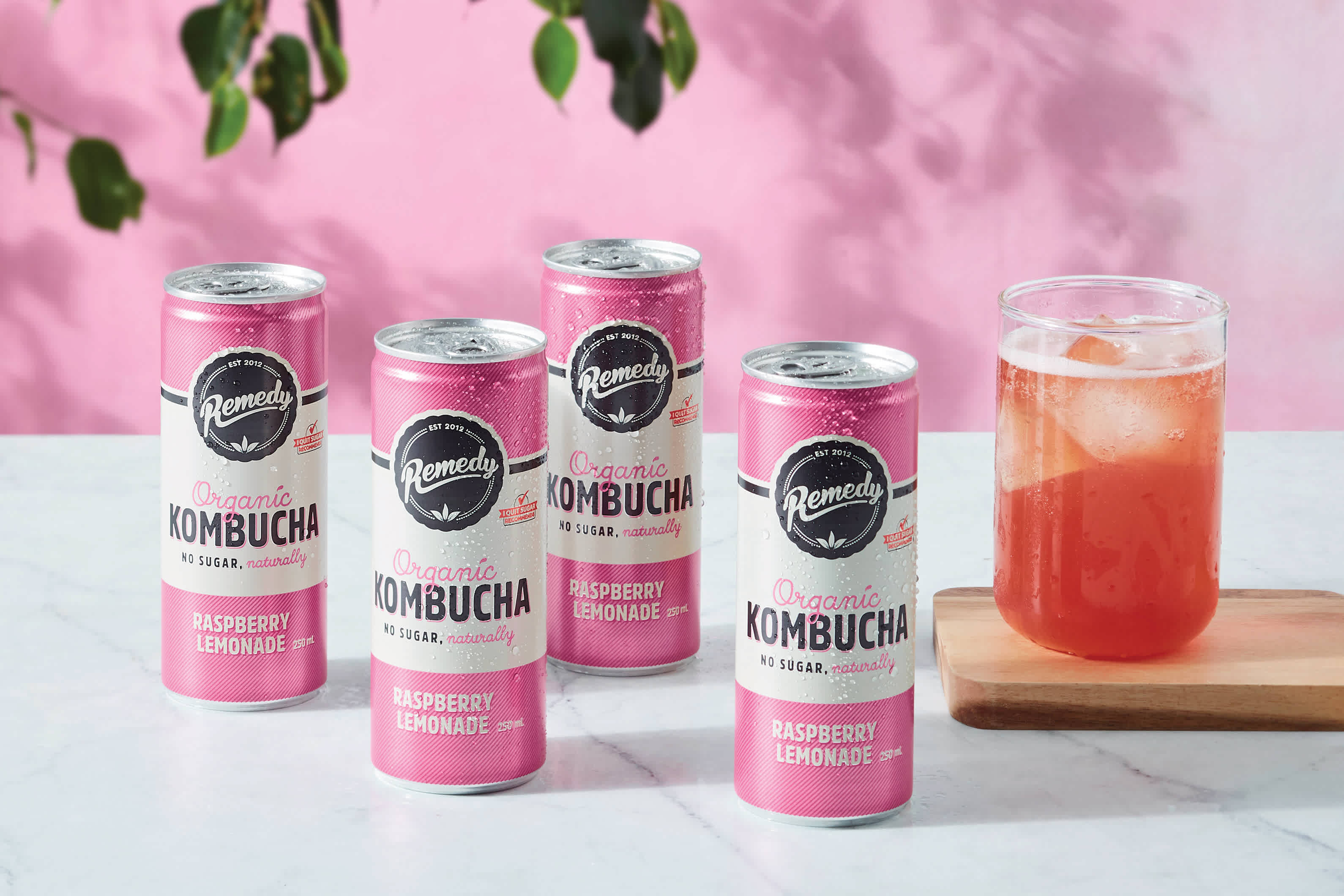 Raspberry Lemonade Kombucha Recipe HelloFresh