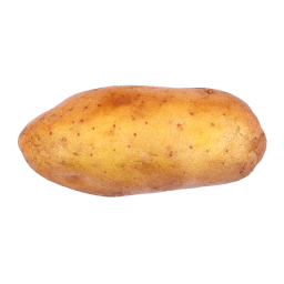 Russet Potato