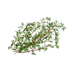 Thyme