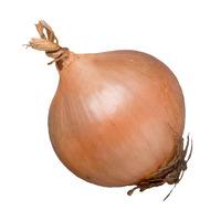 Cebolla