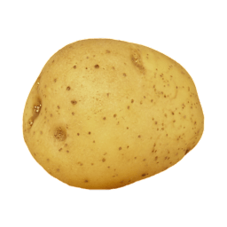 Patata