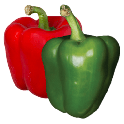 Poivron