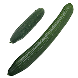Concombre