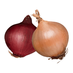 Oignon
