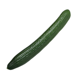 Gurke