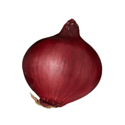 Oignon rouge