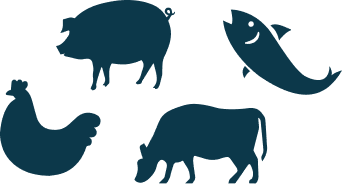 Various farm animals and a fish 