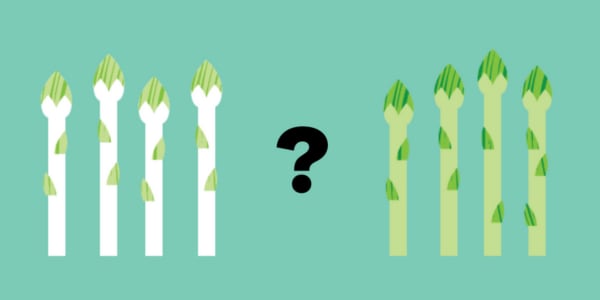 Le saviez-vous : quelle est la différence entre asperges vertes et blanches ?